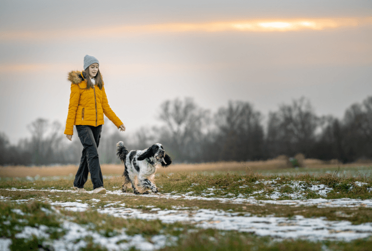 Taking a break to walk dog