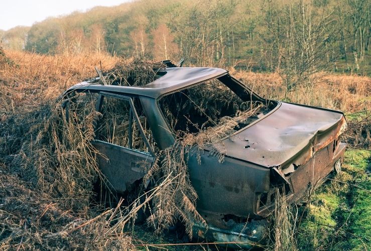 Abandoned car overgrown by weeds